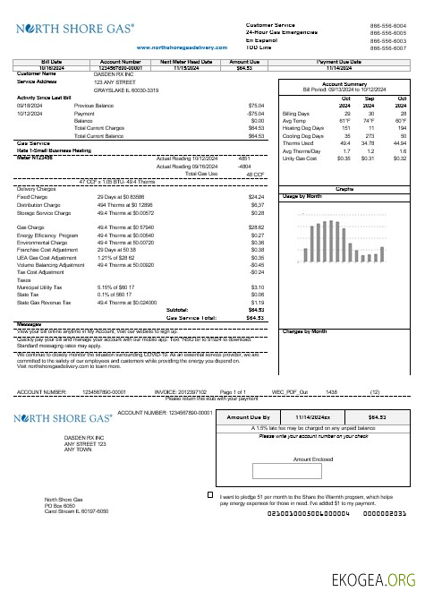 Modèle de facture de services publics pour les entreprises USA Illinois North Shore Gas aux formats Word et PDF